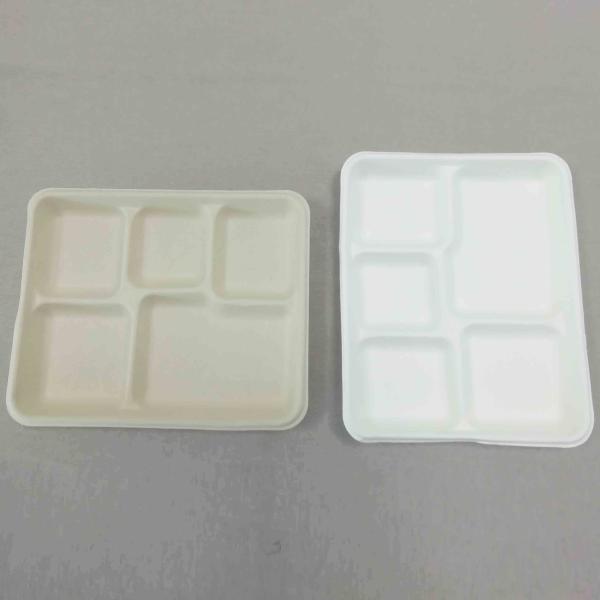 100% Biodegradable Sugarcane Pulp 5 Compartment Tray Natural Bagasse Eco-Friendly Compostable Melamine Dinner Plate