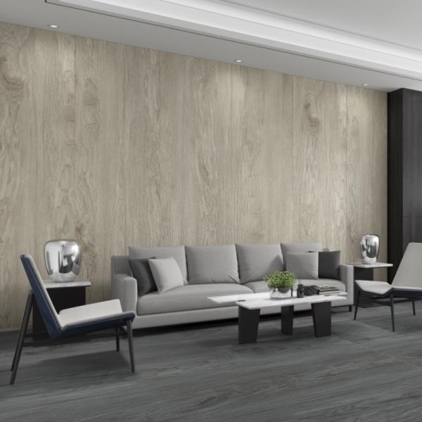 Floor/Wall Glazed Tile Forming Machine with PEI Rating 4 Durable and Top Performance