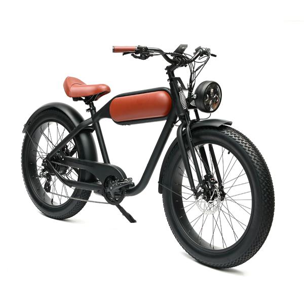 48V750W Bafang Motor Electric Bike DOMANCA Customized Fat Tire Electric Motorcycle