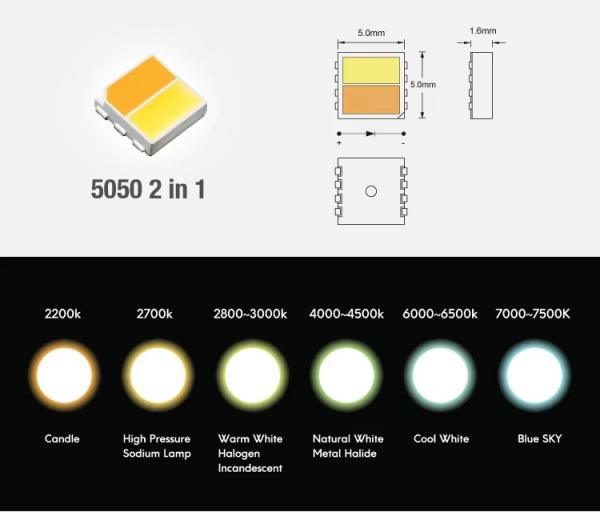 DC12V/24V 300 LED Strip 5050 SMD Dual Color 2in1 5 Meter Wifi Control Addressable CCT IP20/IP68