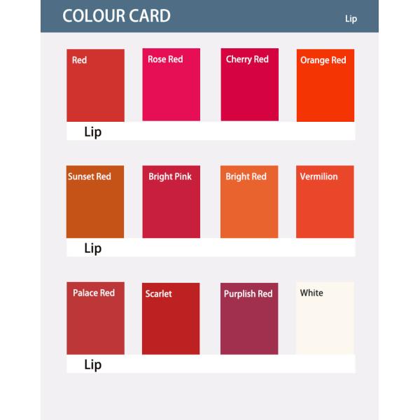 Большой пигмент макияжа OEM чернил татуировки бутылки 1000ML/ODM микро- Semi постоянный брови губы карандаша для глаз