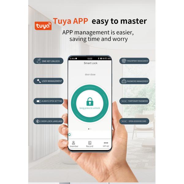 S811 Wifi Lock Tuya Zigbee TTlock Биометрический отпечаток пальцев Умный цифровой дверной замок