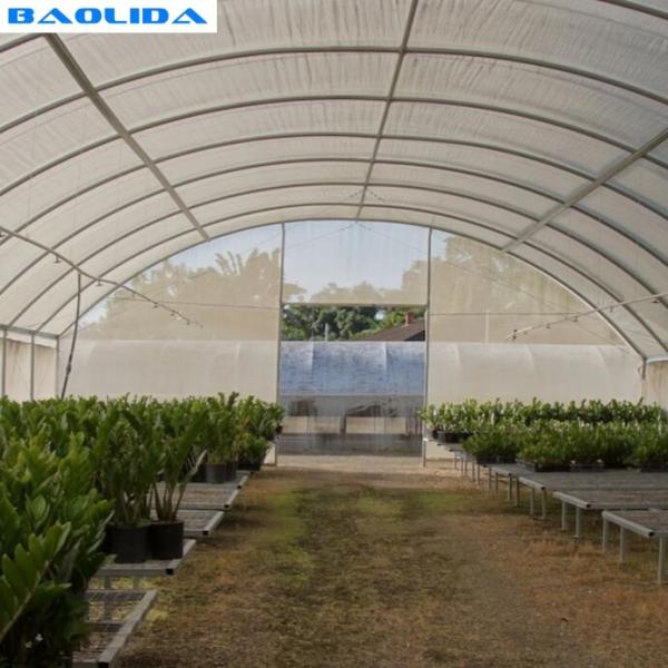 Economical High Hoop Agriculture 60m Tunnel Plastic Greenhouse