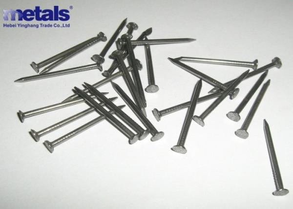 Unhas polidas de arame comum 1 polegada, 2 polegadas, 3 polegadas Unhas de madeira