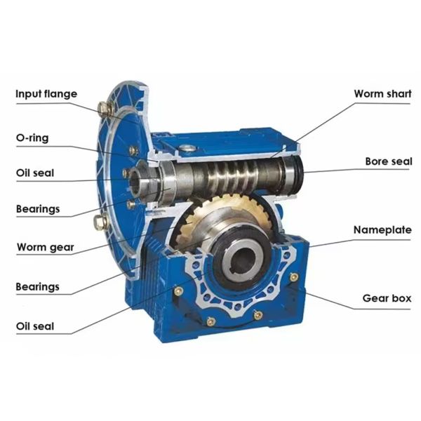 Custom 1.1 kW Single-Stage Reduction RV Series Worm Gearbox Motor Reducer with Helical Gears for Industrial Machinery