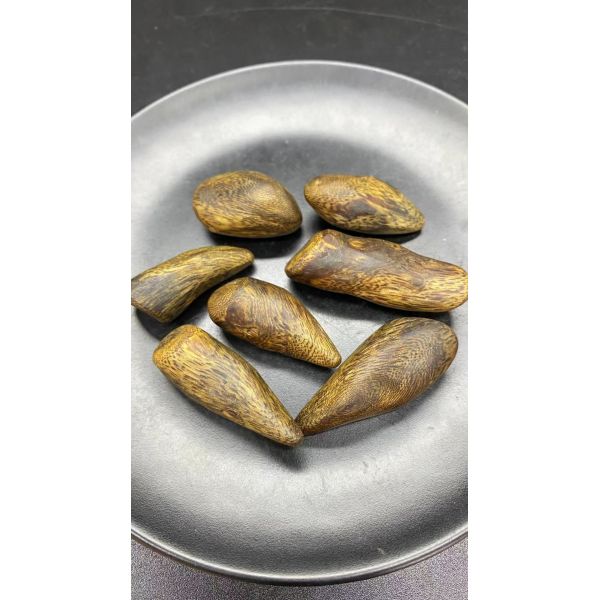 Natural OUD Agarwood raw material ideal for essential oil extraction and high end fragrance manufacturing processes