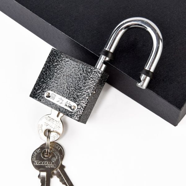Rarlux Best Padlock 38mm Industrial Safety Products Metal Iron Thick Type Waterproof Iron Padlock