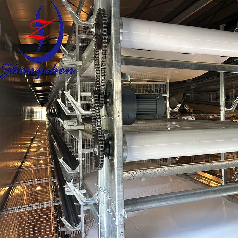 Equipo de jaulas de aves de corral cinturón automático de transferencia de estiércol / cinturón de eliminación de estiércol