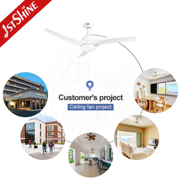 3000K Color Temperature Modern 3 Blade Ceiling Fan with AC 220V Motor and ABS Blades