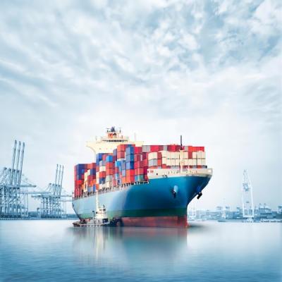 China Directly Sent To The United States Overseas Warehouse DDP Service