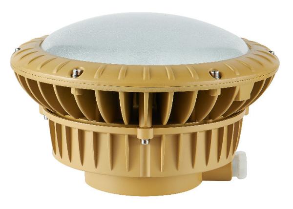 Lumen Dating IP65 100w Explosion Proof Led Lamp For Oil Filed Platform
