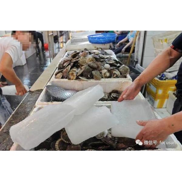 25 тонн суточной емкости Блок-Лед/Hielo en Bloque Машина с высокой скоростью и эффективностью