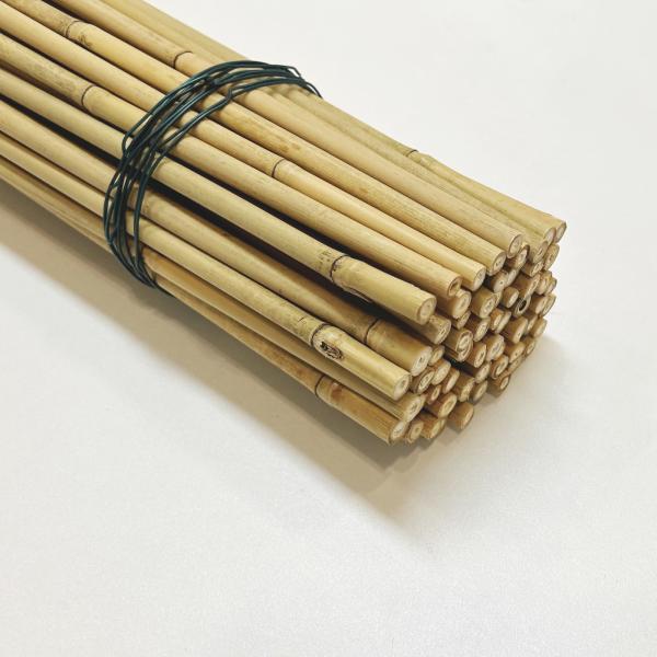 Eco-Friendly Bamboo Poles Toamto Beans Potted Plants for Indoor and Outdoor Plants