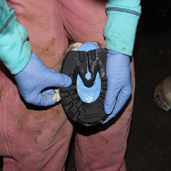 Замазка прессформы кремния заботы копыта лошади замазки силикона безопасного запаха свободная