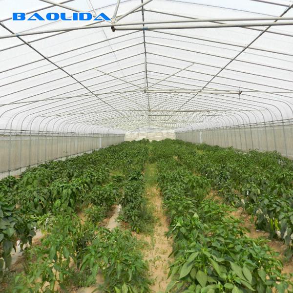Único túnel do período que cresce a estufa mestra agrícola do filme plástico de Sun
