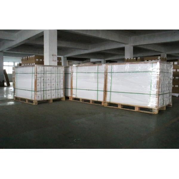 Permanent Glue Decorative Adhesive Vinyl , Waterbased Inkjet Adhesive Vinyl
