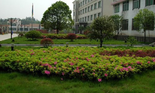 Стандартный компонент Sinotruk HOWO Части грузовика Насос рулевого вана Wg9619470080 Отливка