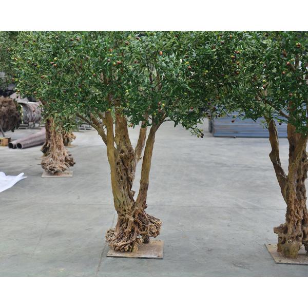 300CM 10FT Artificial Olive Tree Indoor Home Hotel Indoors Restaurant Cafe Restaurants Hotels Interior Olive Tree