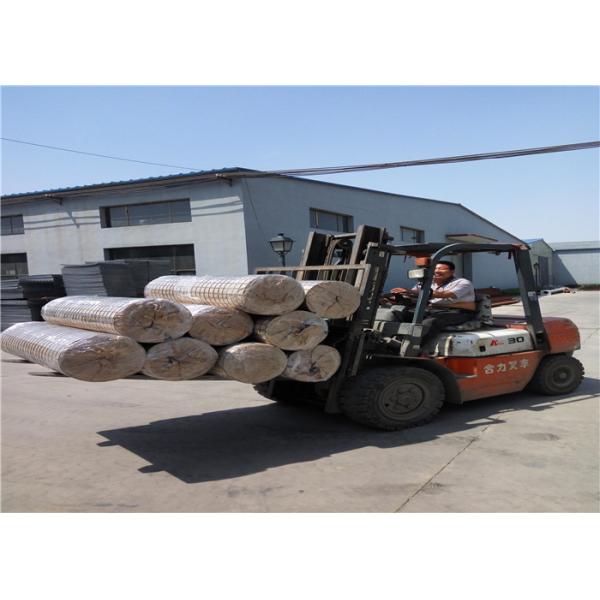 Ограждать металла плоской поверхности свернутый сталью, полно сетка заварки ограждая Ролльс