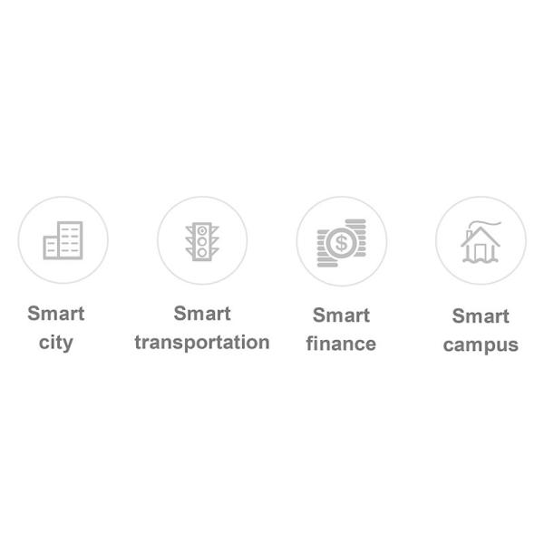 Ascend Atlas 300V Pro Video Analysis Card 140 TOPS 48GB LPDDR4X Memory 128 Channel