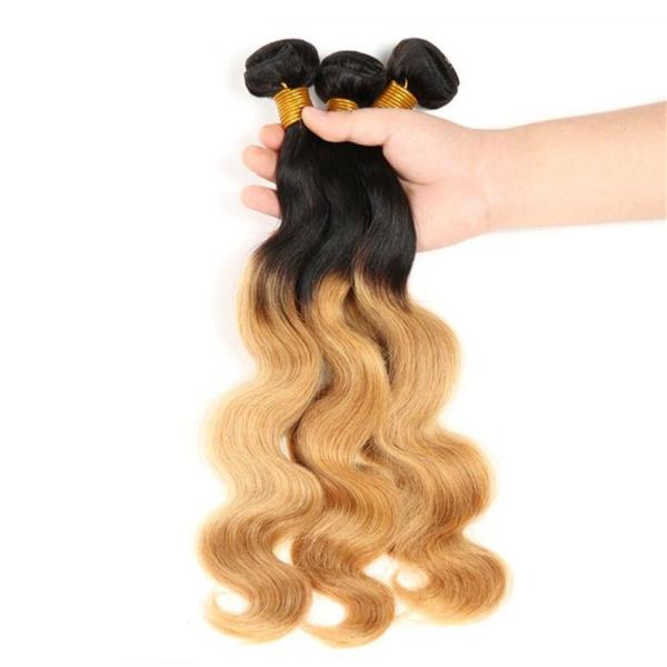 Virgin Ombre Hair Weave Bundles , Body Wave 3 Tone Ombre Brazilian Hair