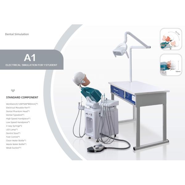 Имитатор A1 A3 A15 практически фантомной головы OEM зубоврачебный для студентов