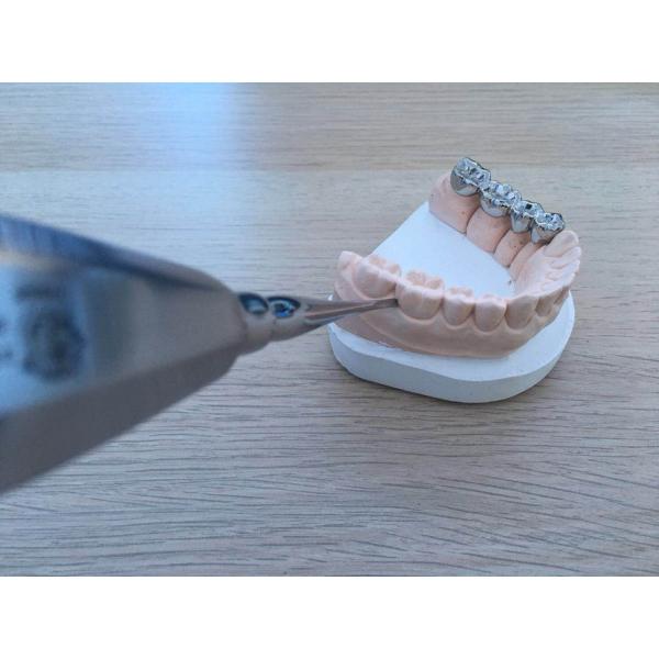 High Strength Dental Root Elevator Premium Quality Materials CE Assured