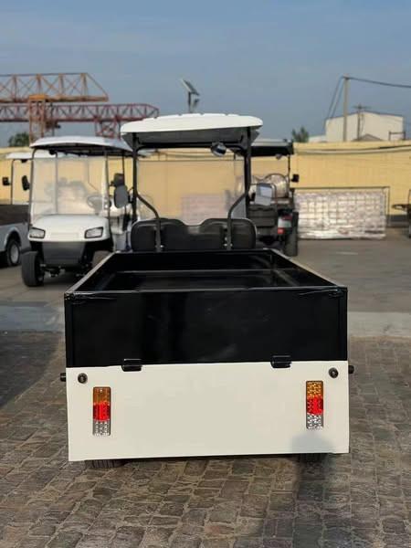60V Lithium 2-Seater Electric Utility Vehicle Golf Carts With Cargo Box