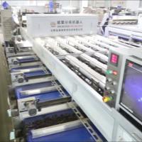 High Capacity 8 lanes+8 outlets Chestnut Sorting Machine: Bulk Processing, Enhanced Productivity