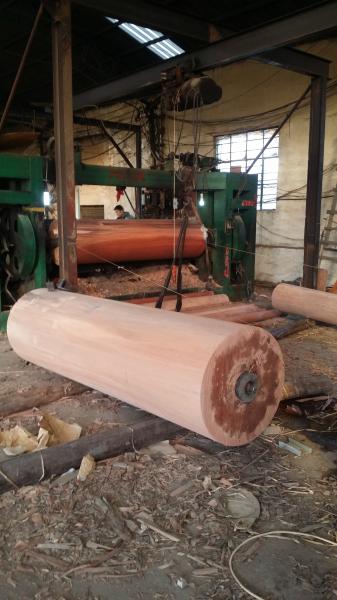 1270*2550*0.3mm natural gurjan face veneer,keruing veneer for india market ,Burma Face Veneer