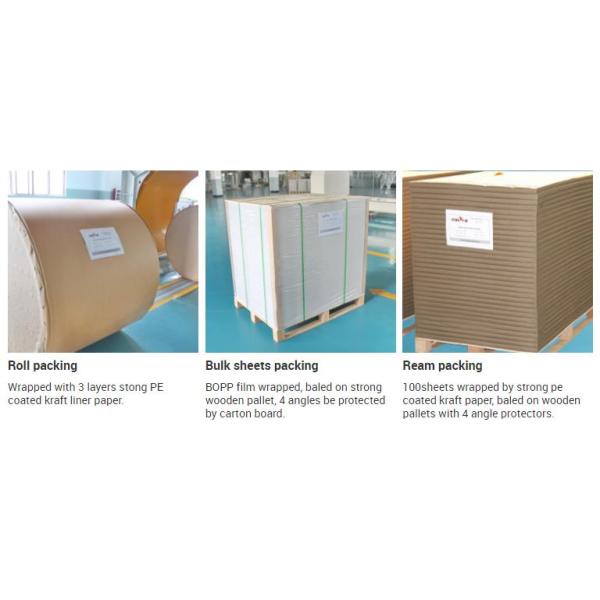 Химико-механическая целлюлозная доска из слоновой кости Лучший выбор для складной бумаги из коробки