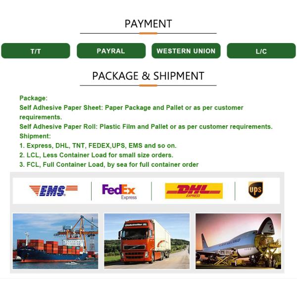 ISO Transparent PET 23um Removable Adhesive Labels
