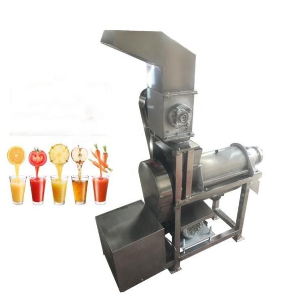 CE Stainless Steel Juice Crusher Machine 380v