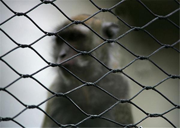 Recyclable Stainless Steel Woven Wire Mesh 30x30mm For Bird Cages 7x19