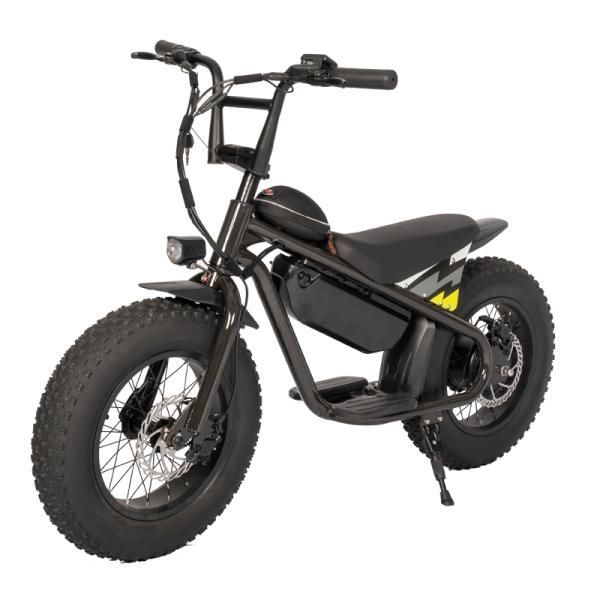 Upgrade Your Off-Road Experience with our Suspension Fork Electric Dirt Bike