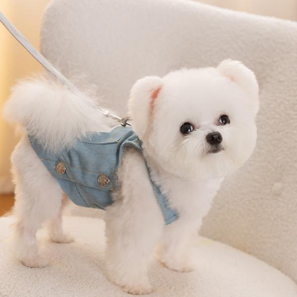 Custom Design Antibacterial Fabric Dog Clothes Anti Allergy Waterproof Eco Friendly
