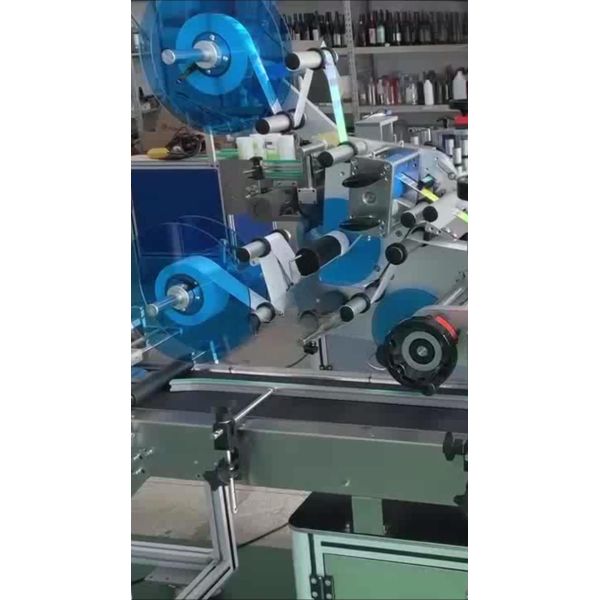 Manufacturer Fully Automatic Lift-and-Labeling Machine CH-602F for Food Self-Sealing Bags and PE Plastic Bags