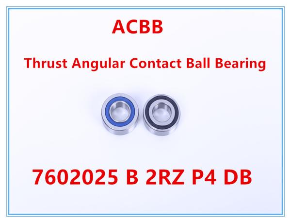 7602025 le DB de 2RZ P4 a poussé le roulement à billes de contact angulaire