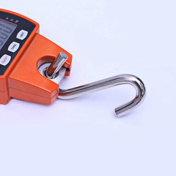 Célula de carga digital de alta precisión 300KG Acero OEM 3*AAA Pila seca OCS-L Mini grúa báscula gancho industrial báscula