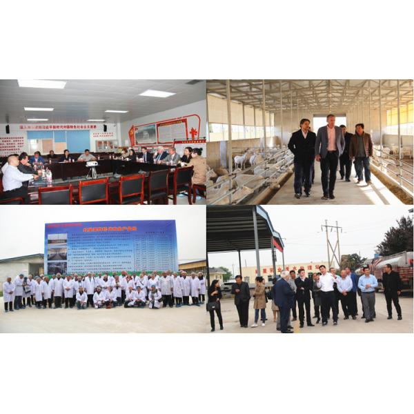 HALAL Cream White Sterilized Natural Goat Milk Powder