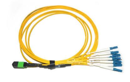 24 Core MPO / MTP Female Fiber Optic Patch Cord With LSZH Material Sheath
