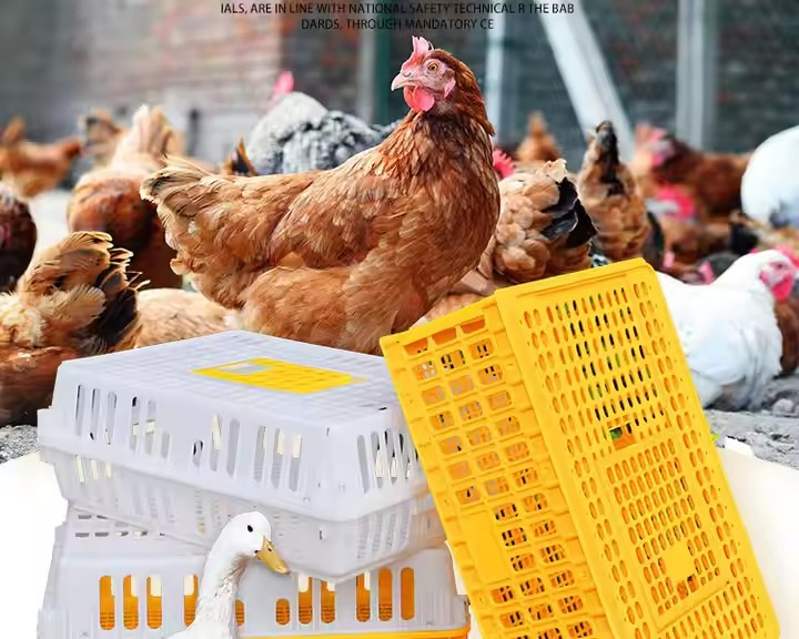 Rectangular Grid Stackable Poultry Carrier Crate Recyclable Chicken Shipping
