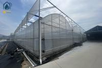Systèmes d'énergie solaire à serre multifonction pour une agriculture écologique durable