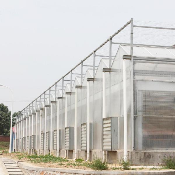 Коммерчески парник листа Polycarbnote светомаскировки подгонял Eco дружелюбное