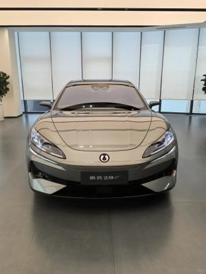 Distributors Tengshi Z9GT 2024 Model 630 Four-Wheel Drive Pro Version Yuehua Silver 5-Door 5-Seater