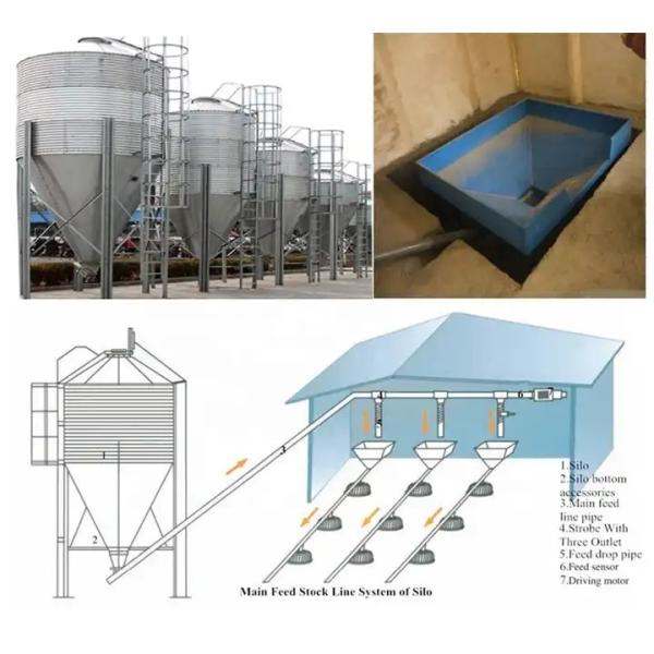 Equipamento automático galvanizado da produção animal das aves domésticas do mergulho quente para cultivar a galinha