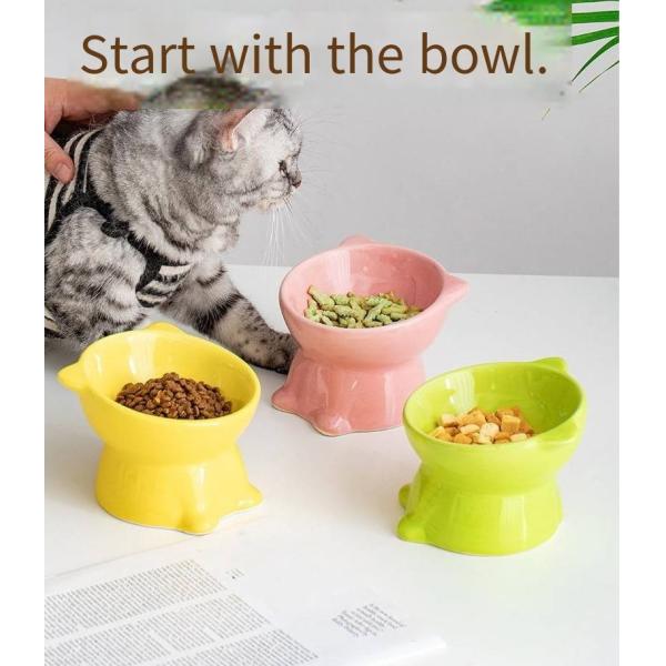 Pet Neck Guard Ceramic Elevated Cat Bowl Foot Diagonal Dog Bowl To Prevent Spilling Water And Food Bowl