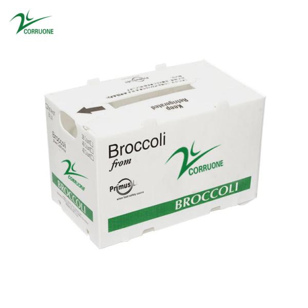 Коробка сота ящиков для хранения Корфлейт брокколи рифленая для плодов