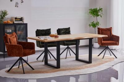 Meubles d'intérieur modernes confortables Table de salon moderne Durable