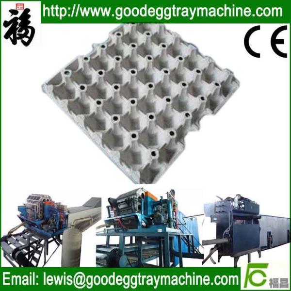 Egg tray plant(FC-ZMW-2)